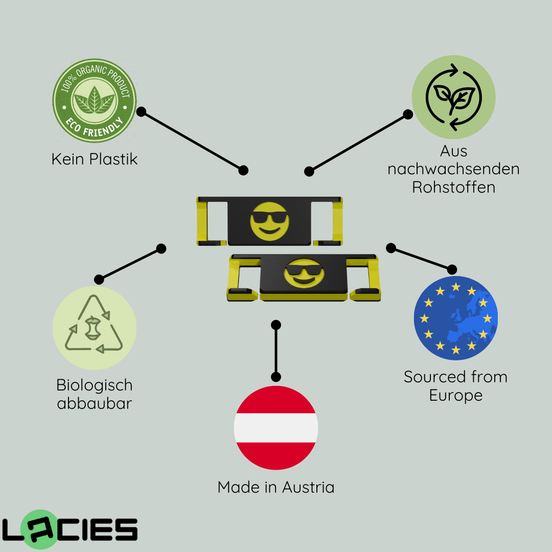 LACIES Schuhclips - Noten